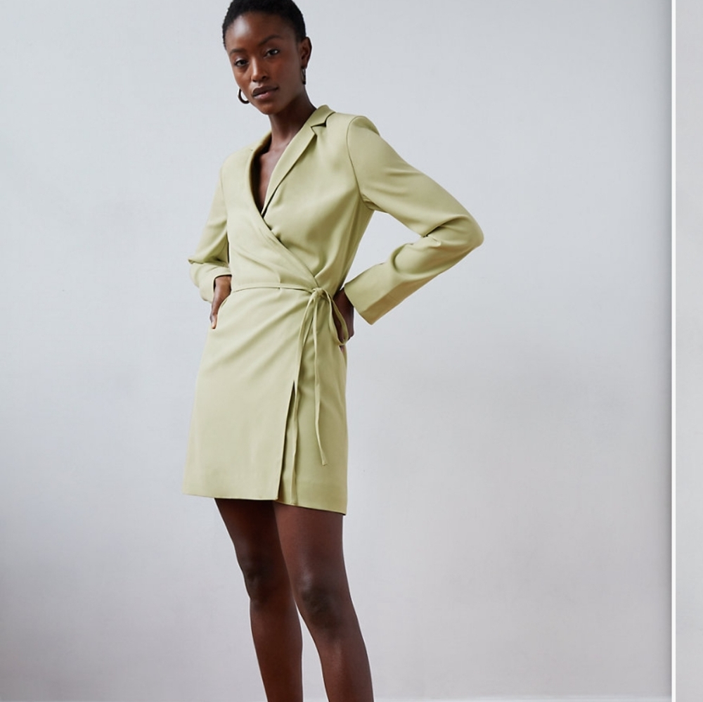 Babaton RAINE DRESS